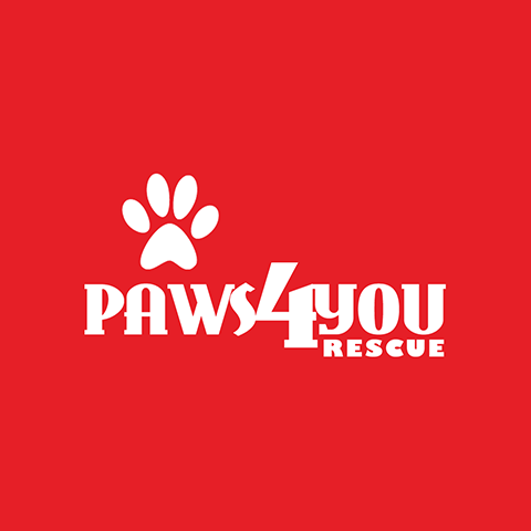 PAWS4you Rescue
